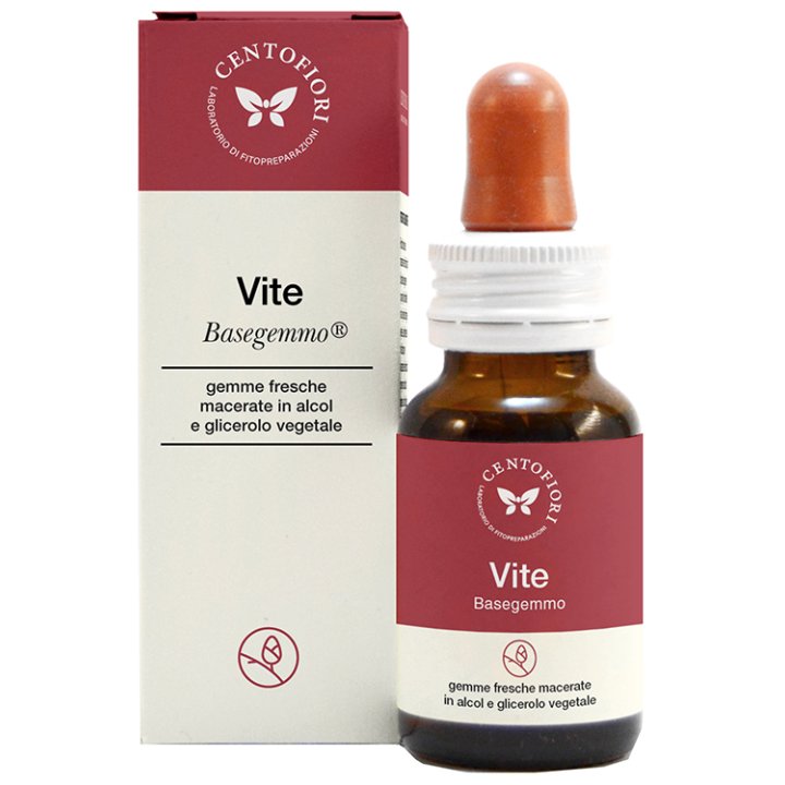 VITE BASEGEMMO              30ML
