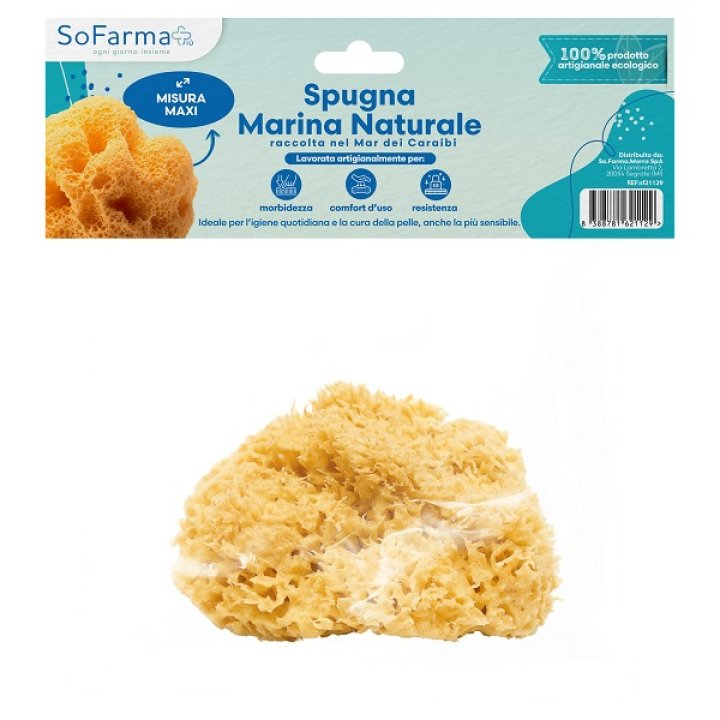SPUGNA MARINA NATURALE MAXI SF+