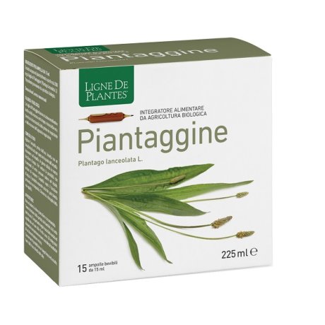 PIANTAGGINE 15AB 15ML PIANTAGGINE 15AB 15ML