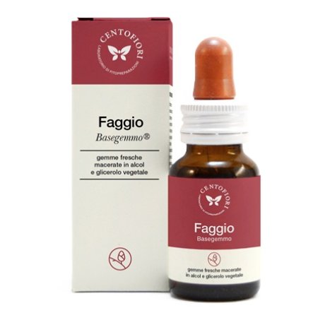 BASEGEMMO FAGGIO 30ML
