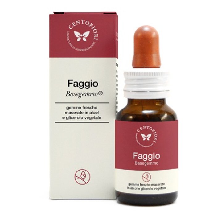 BASEGEMMO FAGGIO 30ML