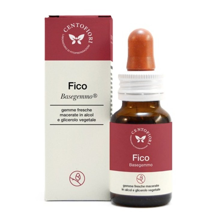 BASEGEMMO FICO 30ML