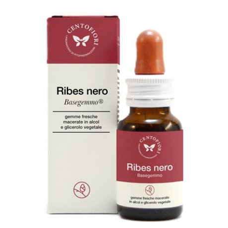 BASEGEMMO RIBES NERO 30ML BASEGEMMO RIBES NERO 30ML