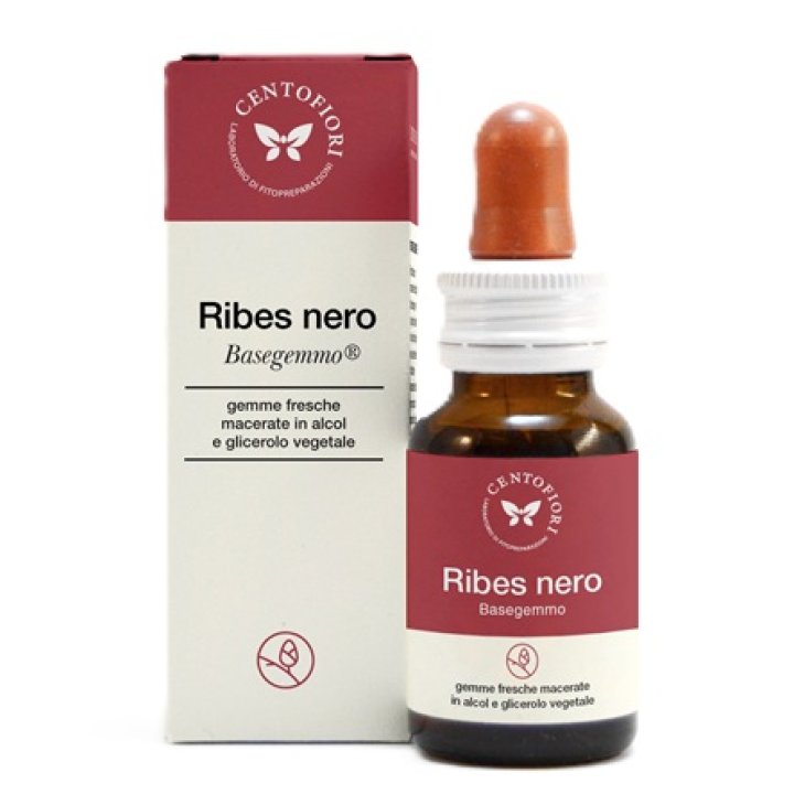 BASEGEMMO RIBES NERO 30ML