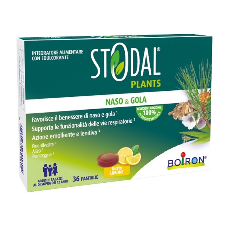 STODAL PLANTS LIMONE      36PAST
