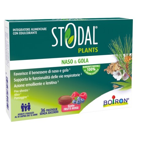 STODAL PLANTS FRUTTI ROSSI36PAST