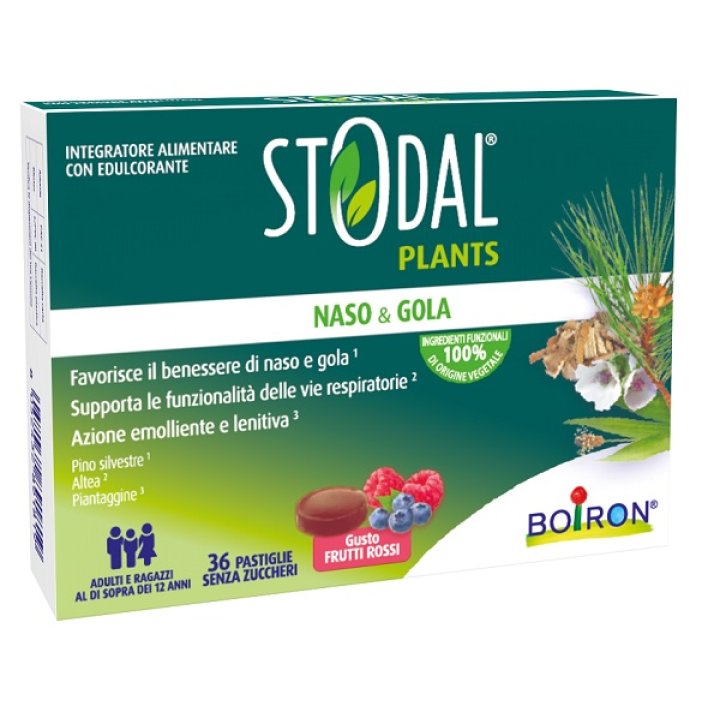 STODAL PLANTS FRUTTI ROSSI36PAST